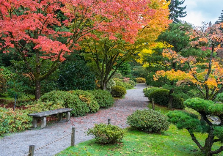 WASHINGTON PARK ARBORETUM