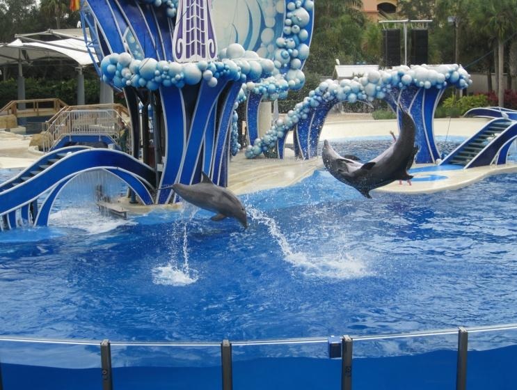 SeaWorld