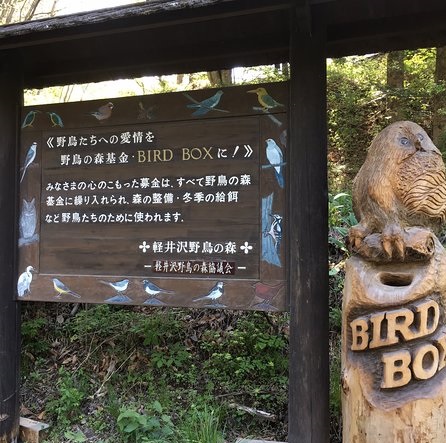 Karuizawa Yacho-no-mori
