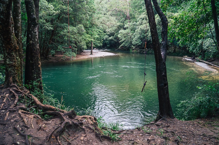 The Promised Land, Bellingen