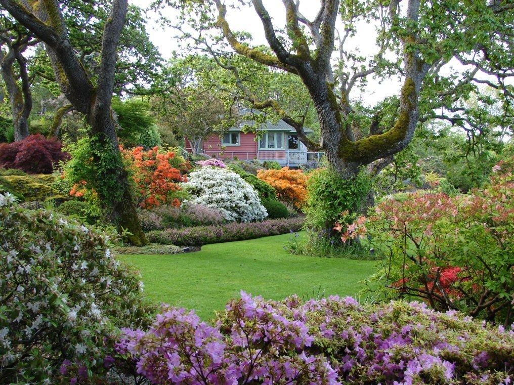Abhazi Bahçesi ve Çayevi
