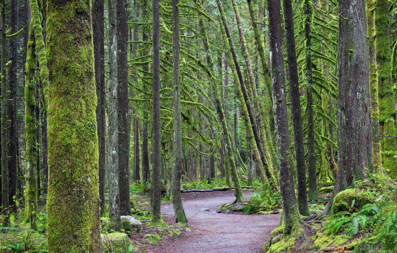 Capilano Nehri Bölge Parkı