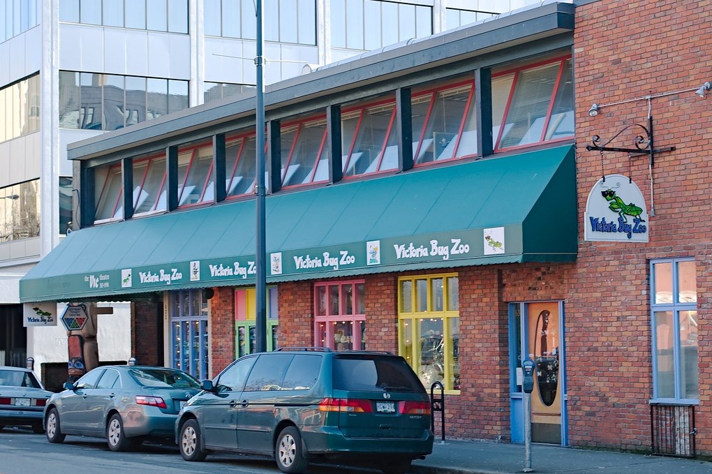 Victoria Bug Hayvanat Bahçesi