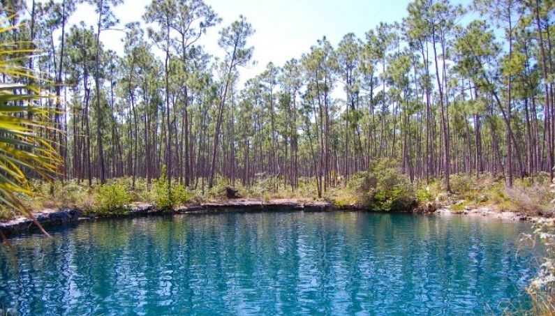 Treasure Cay Mavi Delik