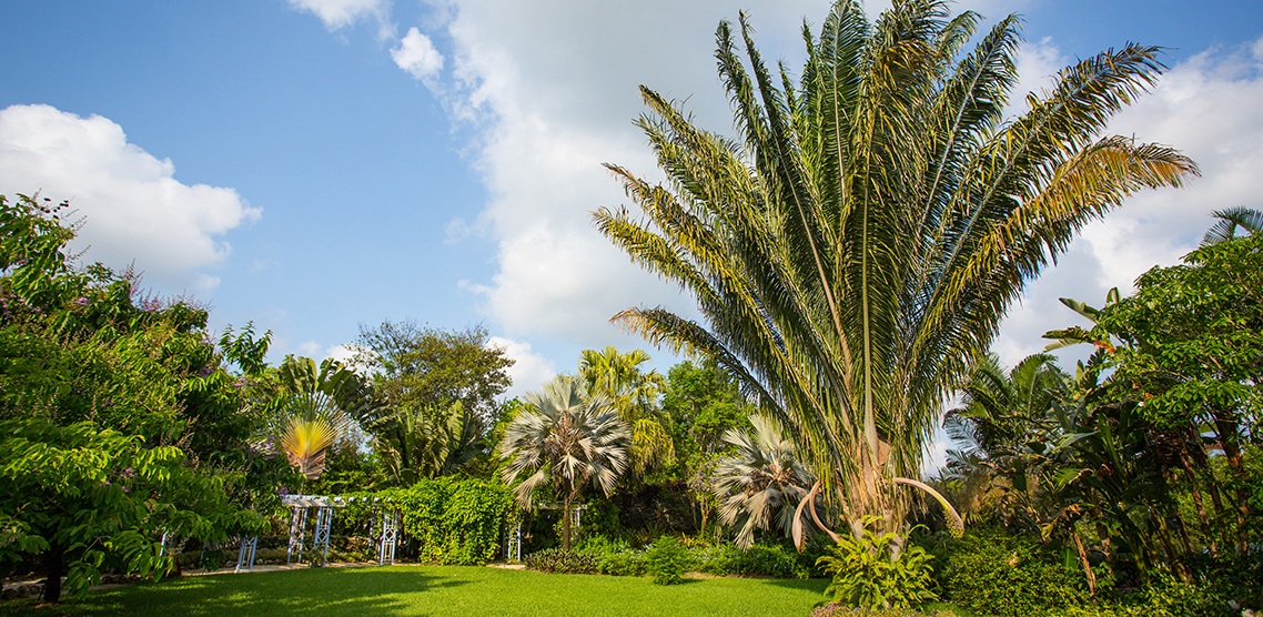 Cayman Adaları Kraliçe II. Elizabeth Botanik Parkı