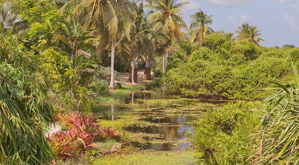 Kraliçe II. Elizabeth Botanik Parkı